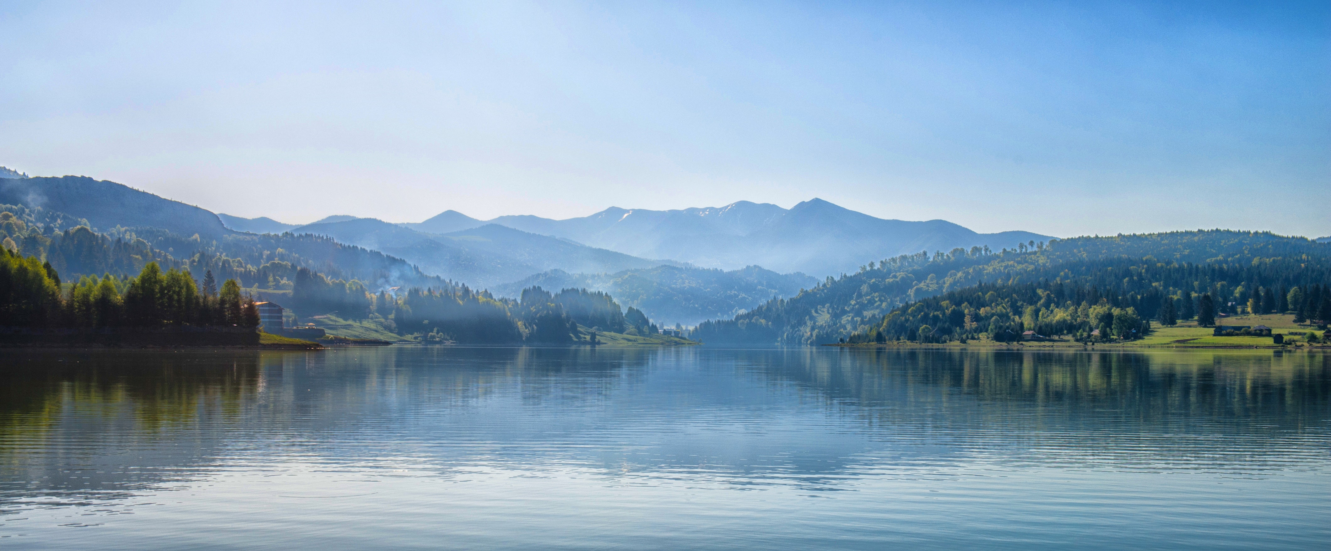 fog-forest-lake-113727