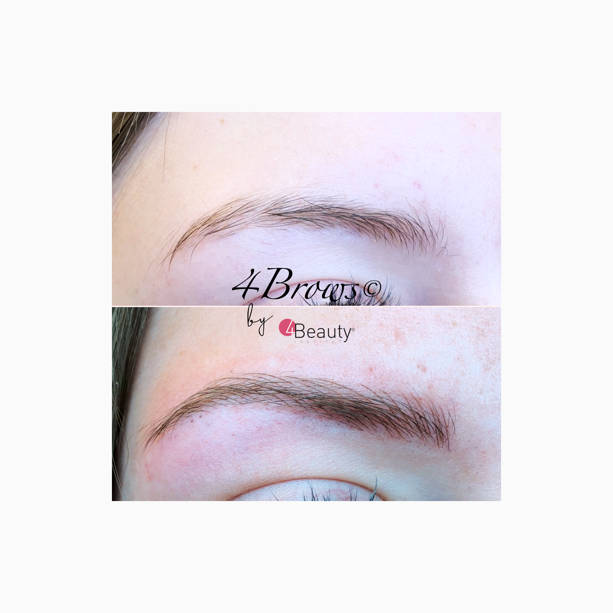 mb 4brows